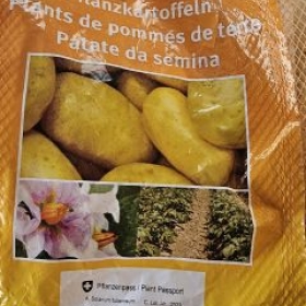 KartoffelnSack 2026-05-18 20.27.